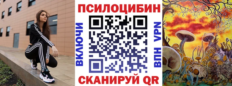Галлюциногенные грибы Psilocybe  закладки  Ликино-Дулёво 